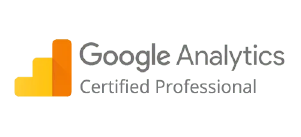Google Analytics Professional
